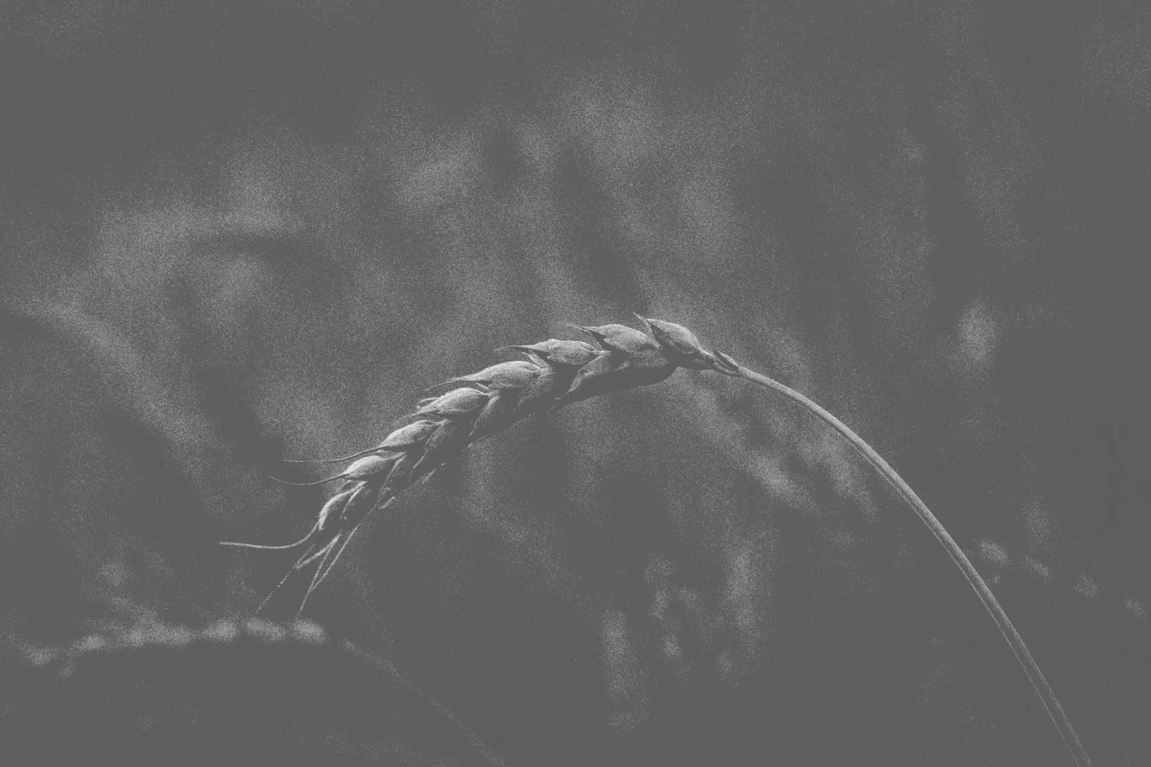 3b5ea96afb6601d1a9ee48582f99108798e5bd3f