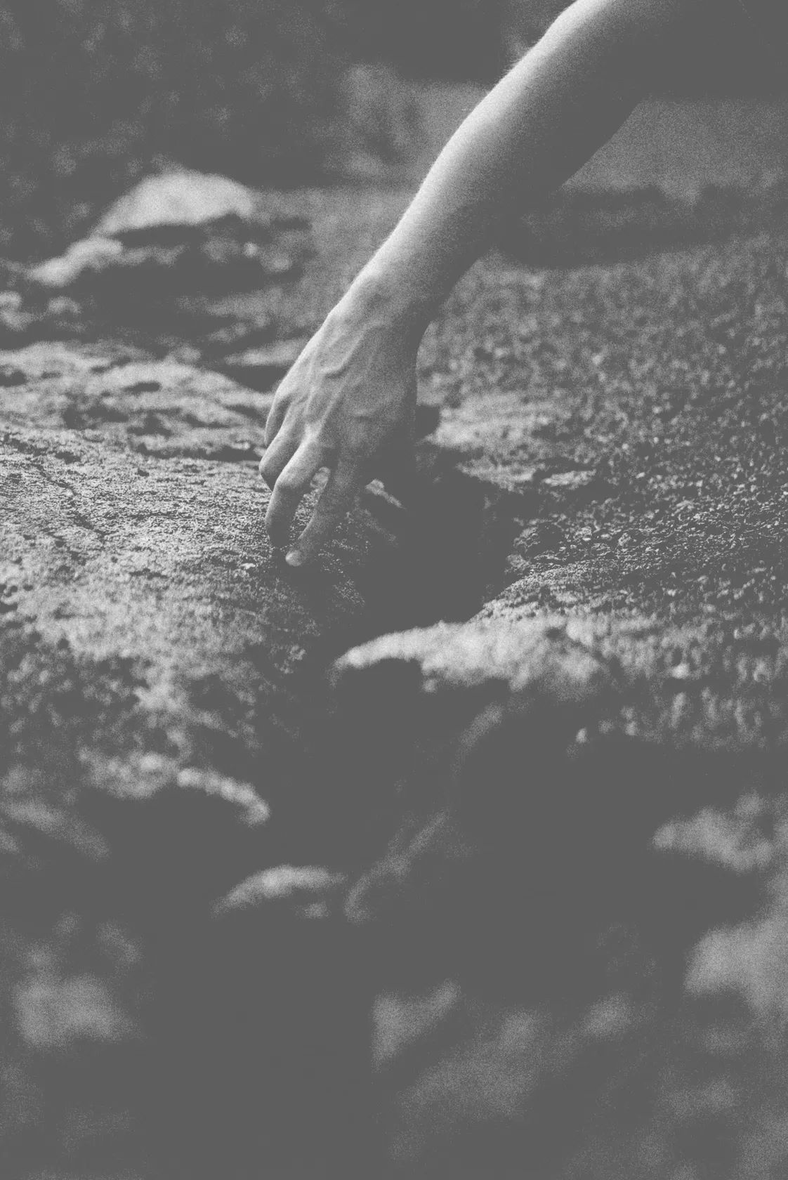 449530955bf43fdfcdf983ed048f838adaebfa96