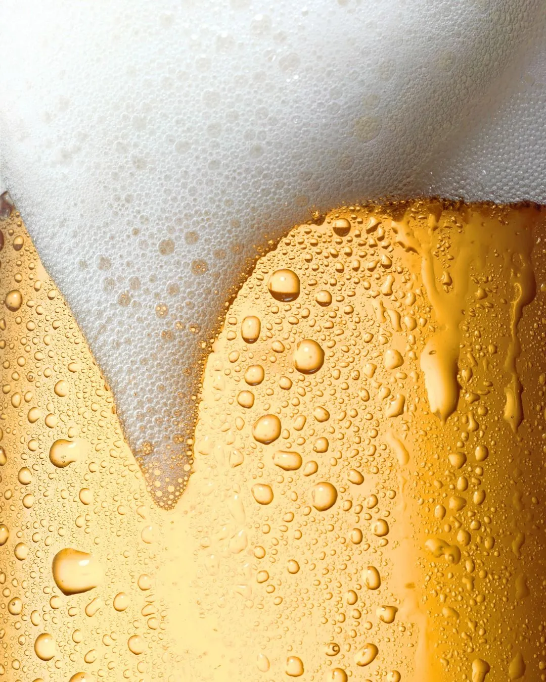 fa909567aa79acd161b3fb3d35872c78e067b447