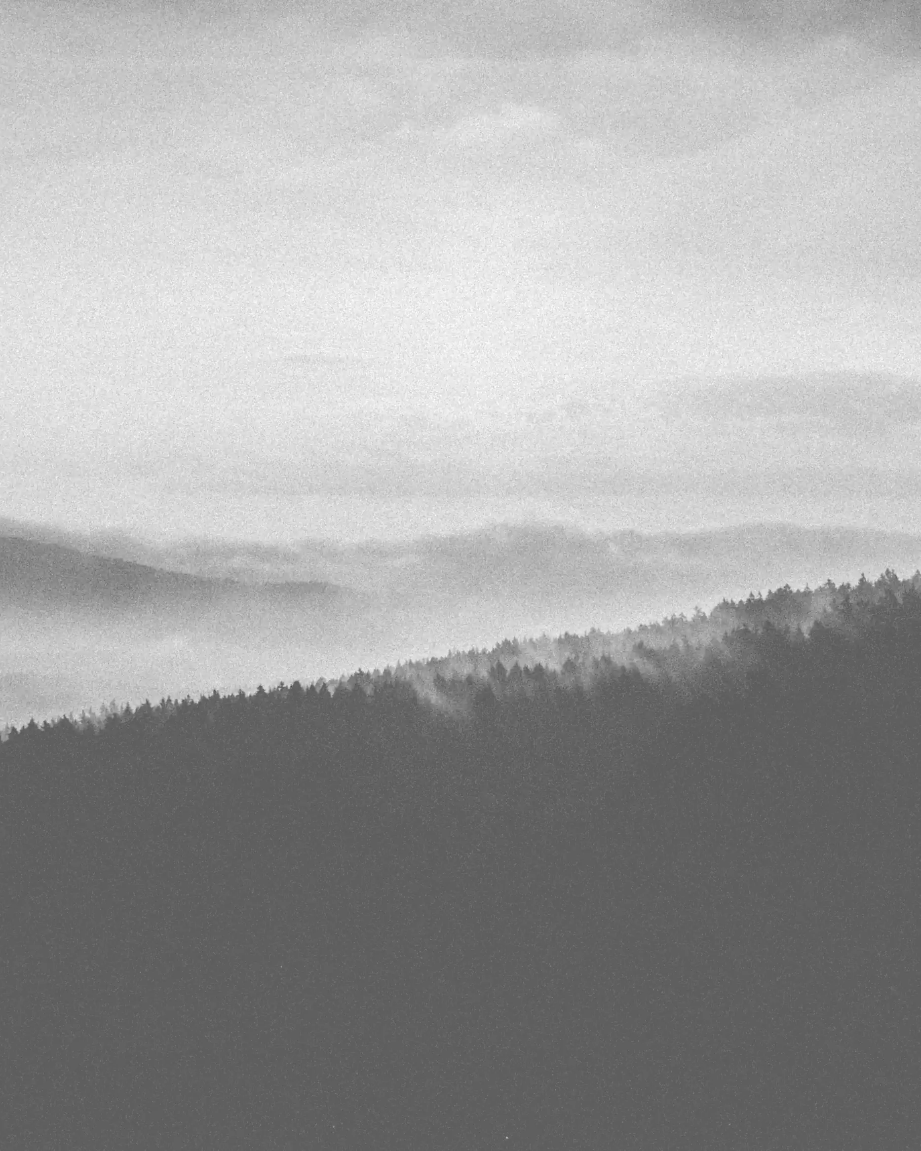fritz-bielmeier-29905-unsplash_PROVA