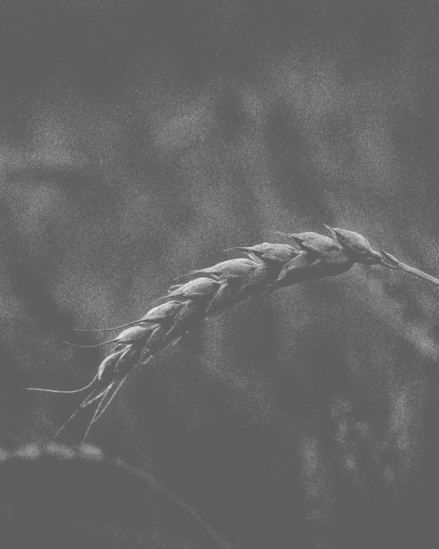 kirill-pershin-e3p0nldvCvc-unsplash_PROVA